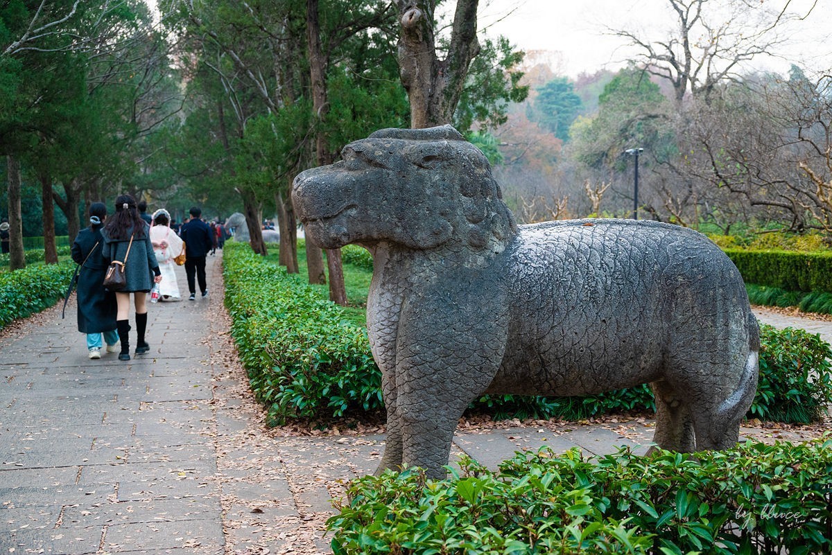 明孝陵冬色（下）---醉美石象路