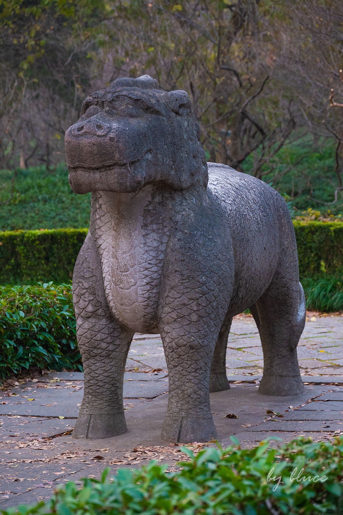 明孝陵冬色（下）---醉美石象路