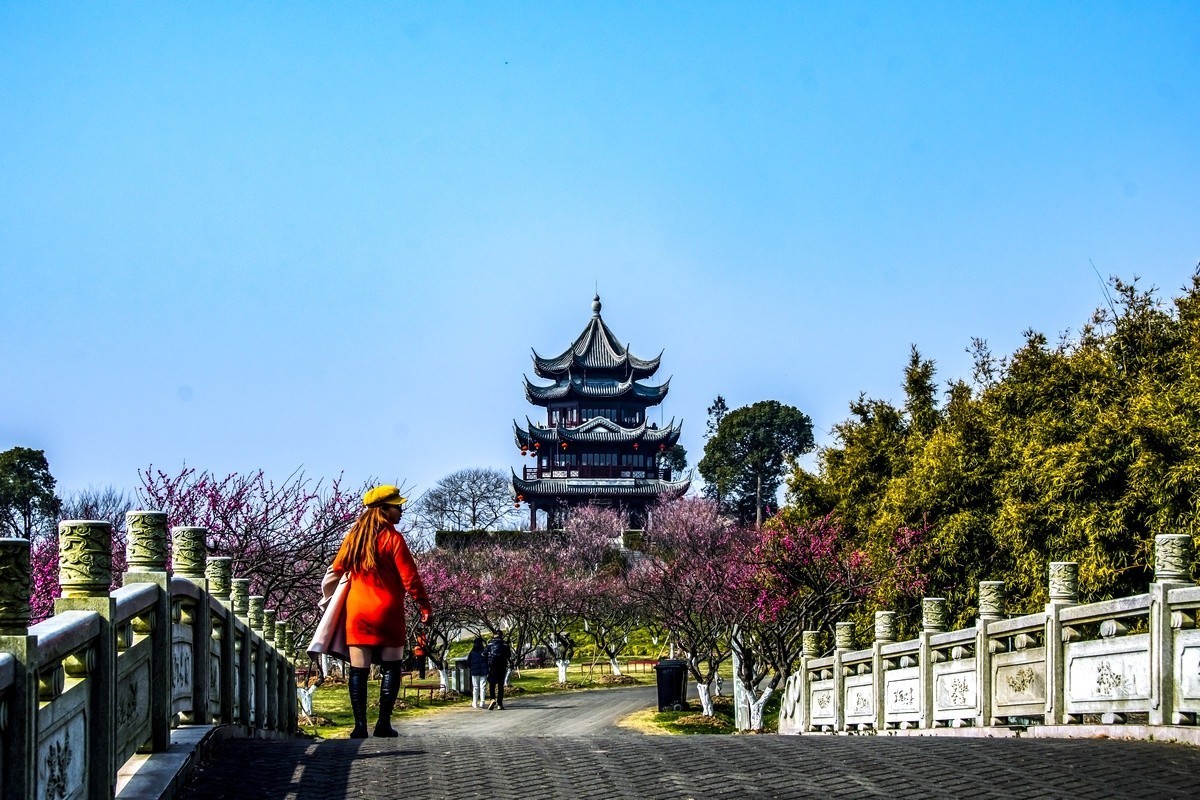 奉贤海湾森林公园