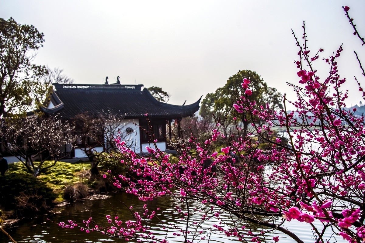 奉贤海湾森林公园