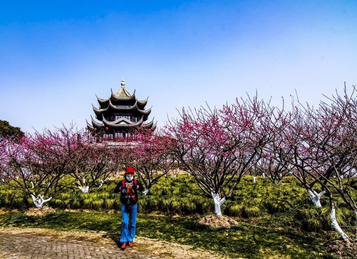 奉贤海湾森林公园