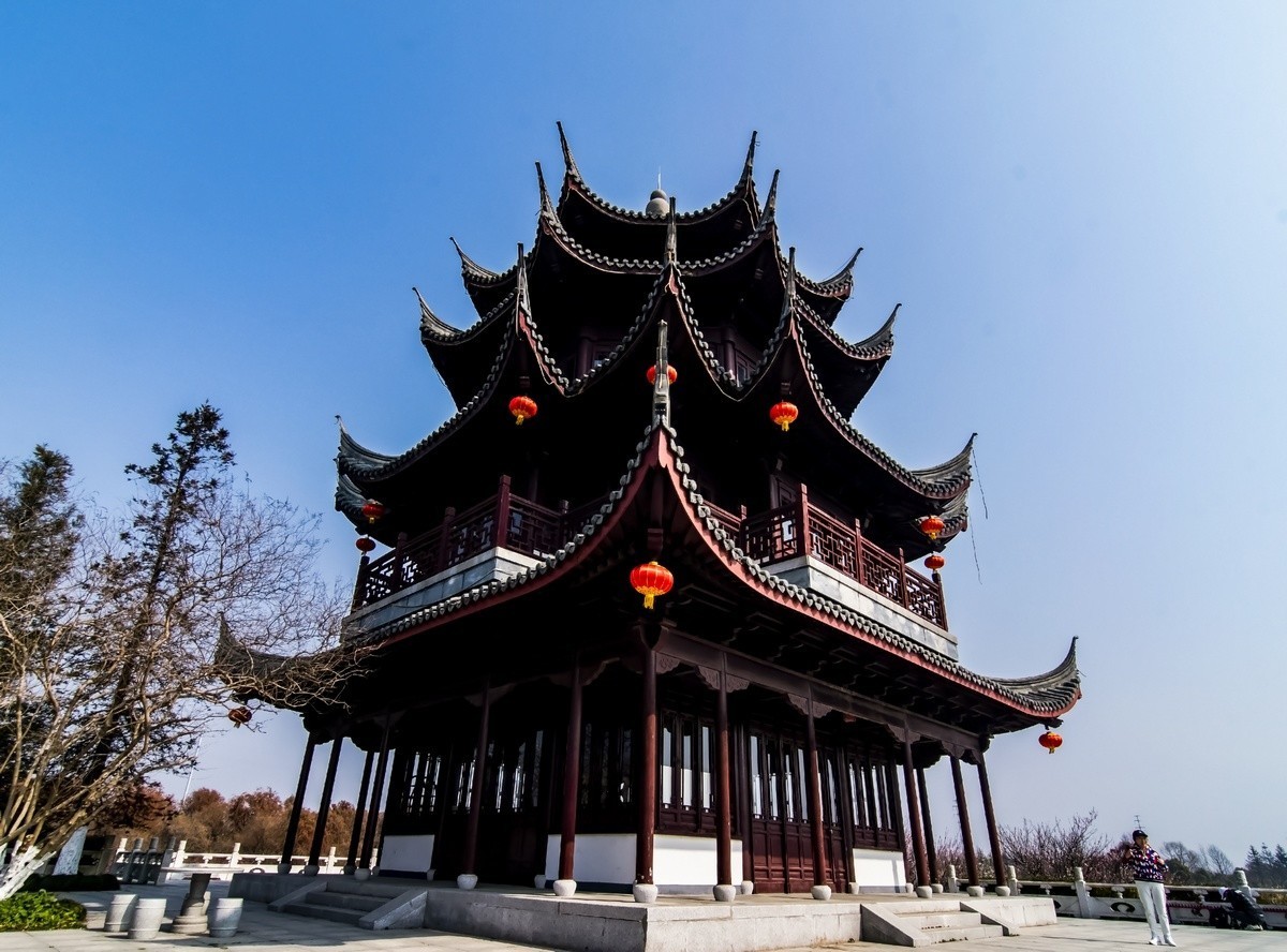 奉贤海湾森林公园