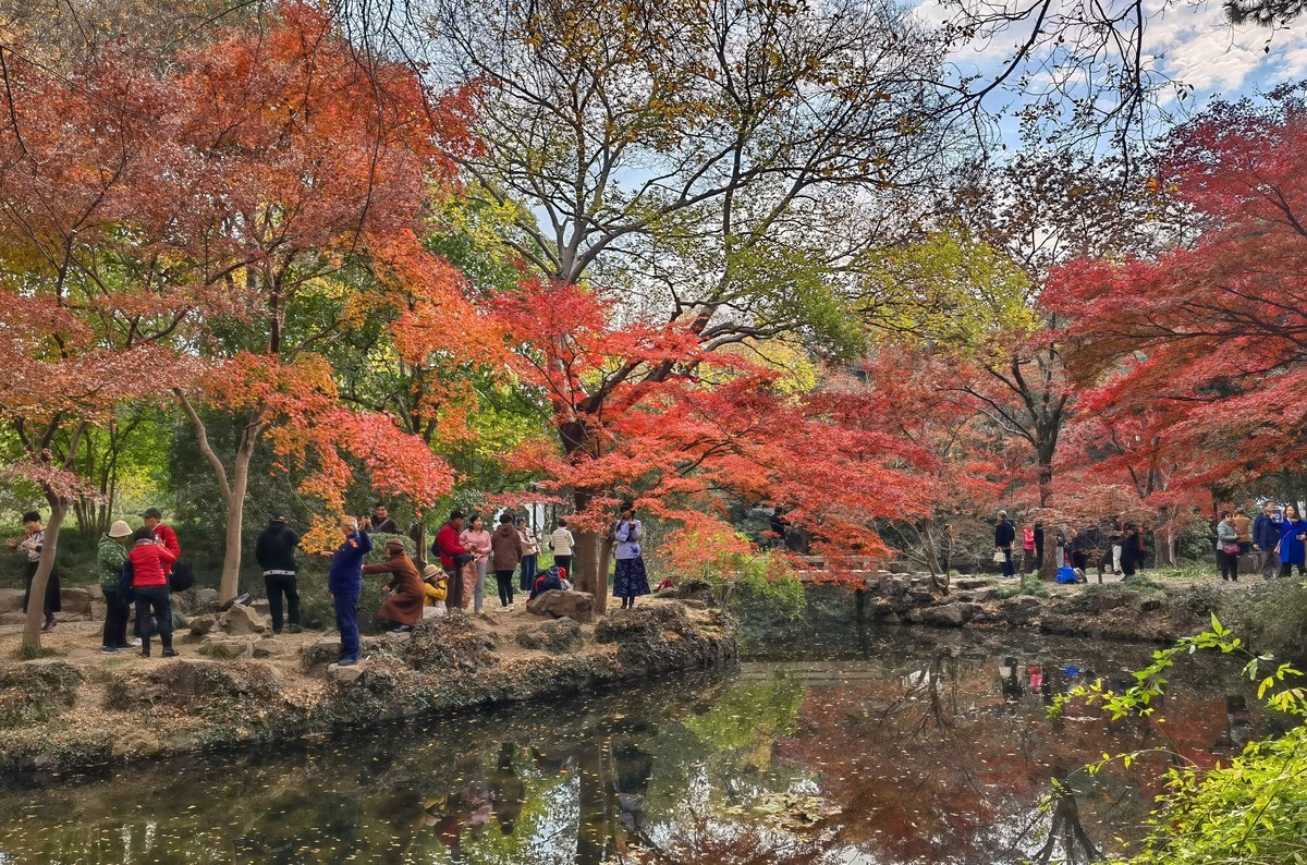 上海秋霞圃秋色
