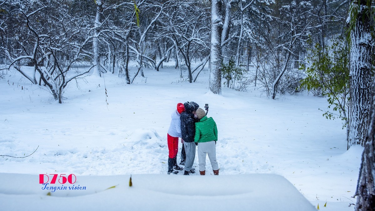 入冬塞北第一场雪（6）