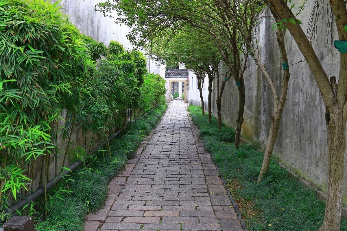 蕩口小景致（12）