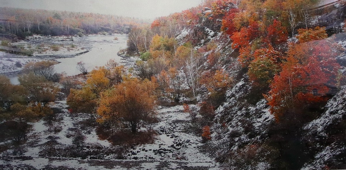 雾凇摄影作品展【大美伊春  魅力丰林】    4/5