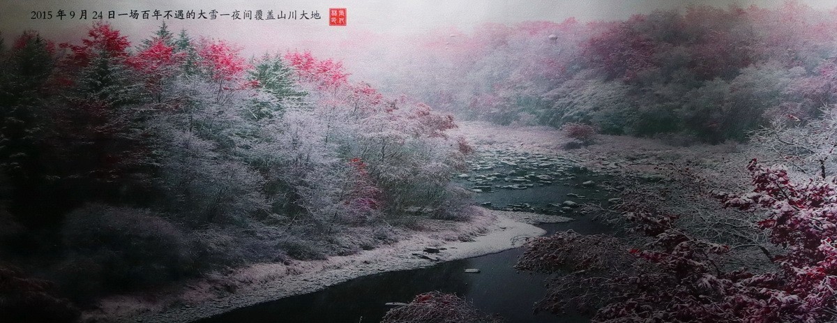 雾凇摄影作品展【大美伊春  魅力丰林】    4/5