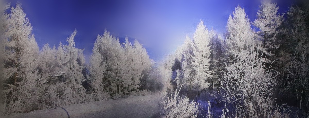 雾凇摄影作品展【大美伊春  魅力丰林】    4/5