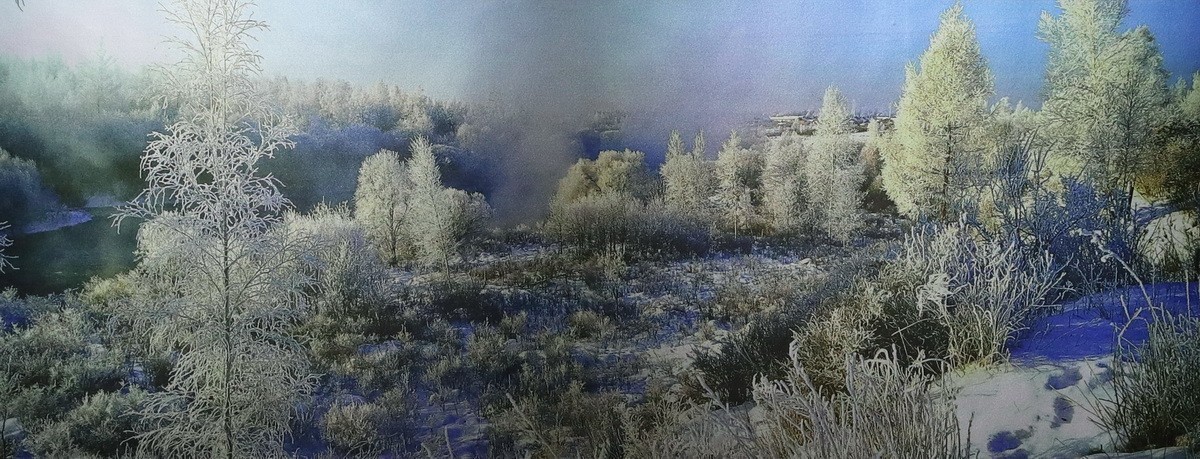 雾凇摄影作品展【大美伊春  魅力丰林】    4/5