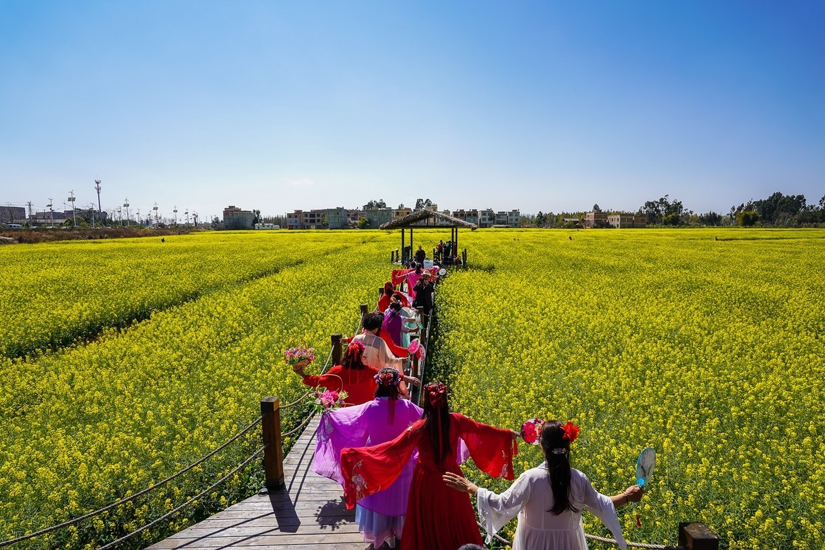 春日记忆—绿皮火车+油菜花海