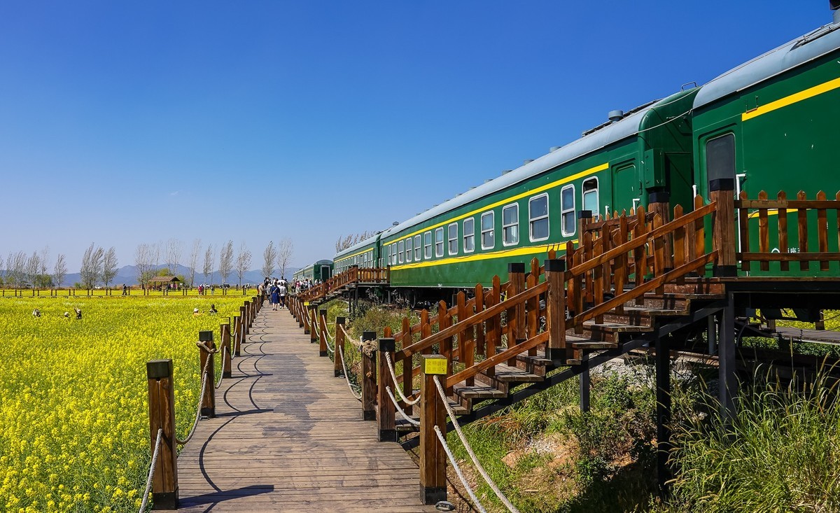 春日记忆—绿皮火车+油菜花海