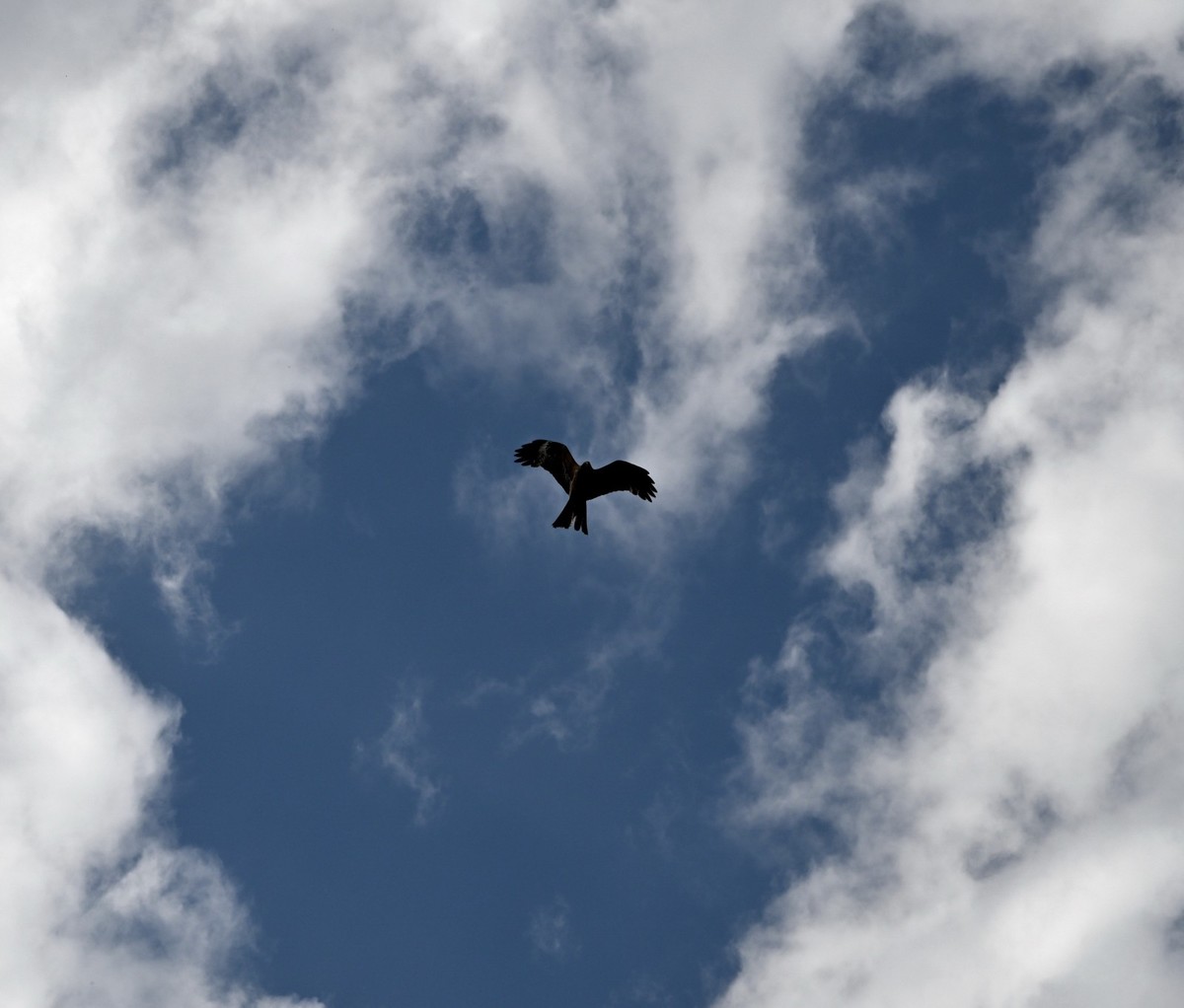 新疆游/禾木村（29）