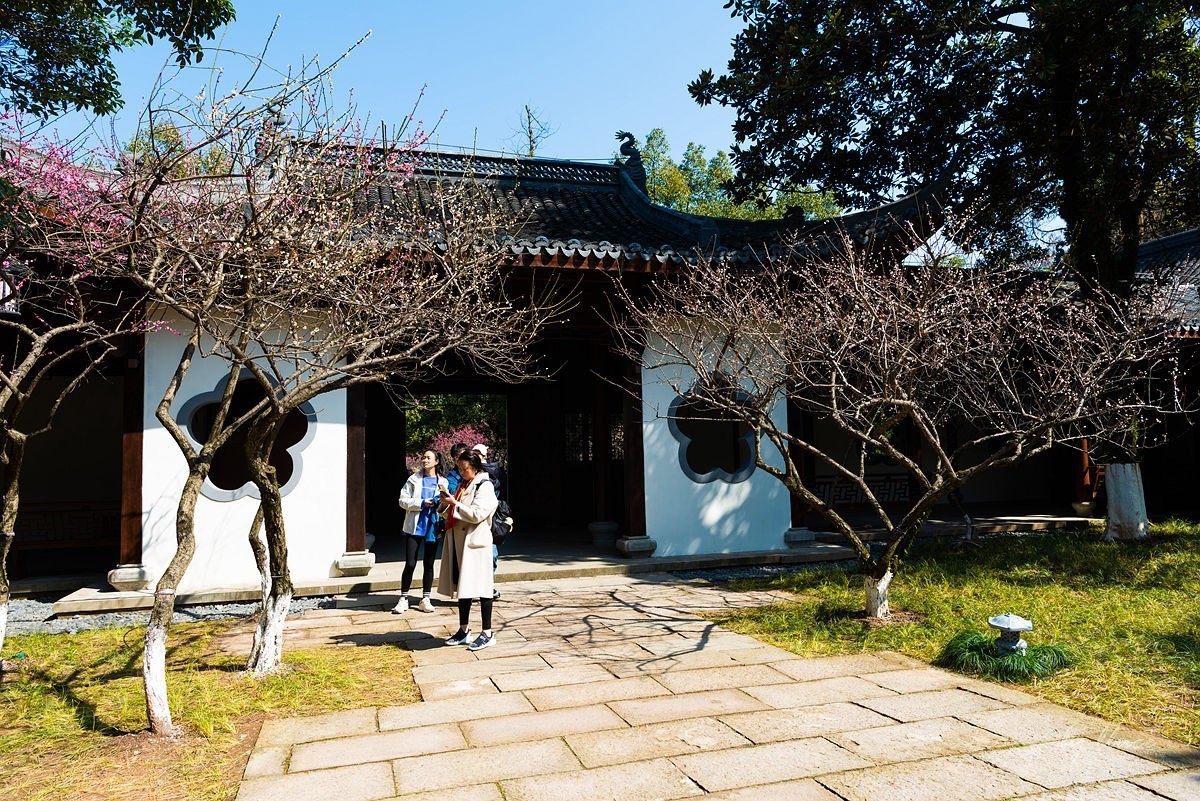 观梅胜地——杭州超山（4）