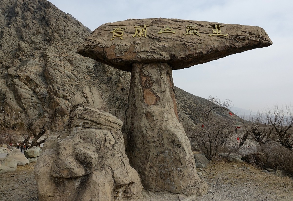 贺兰山贺兰沟的随拍