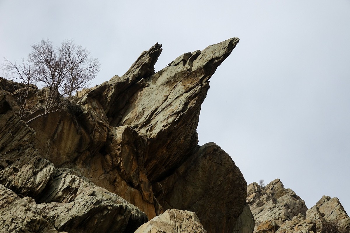 贺兰山贺兰沟的随拍