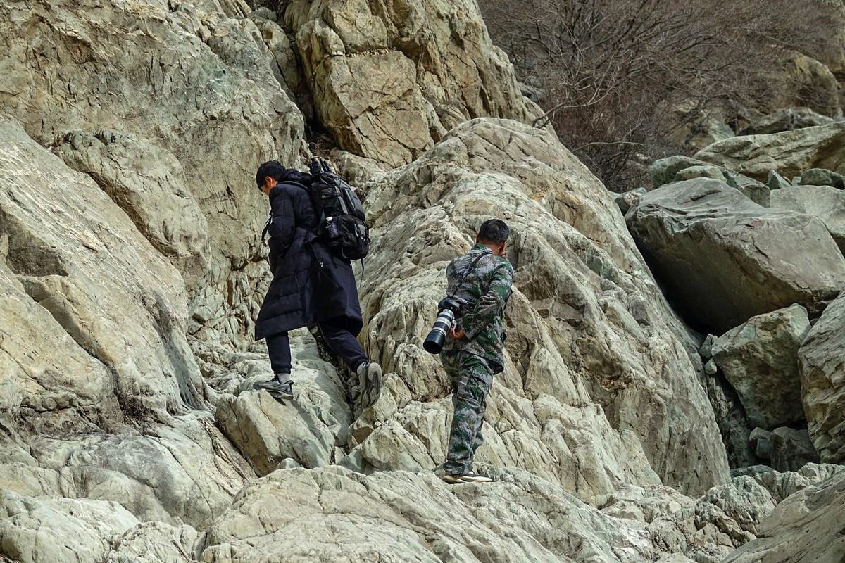 贺兰山贺兰沟的随拍