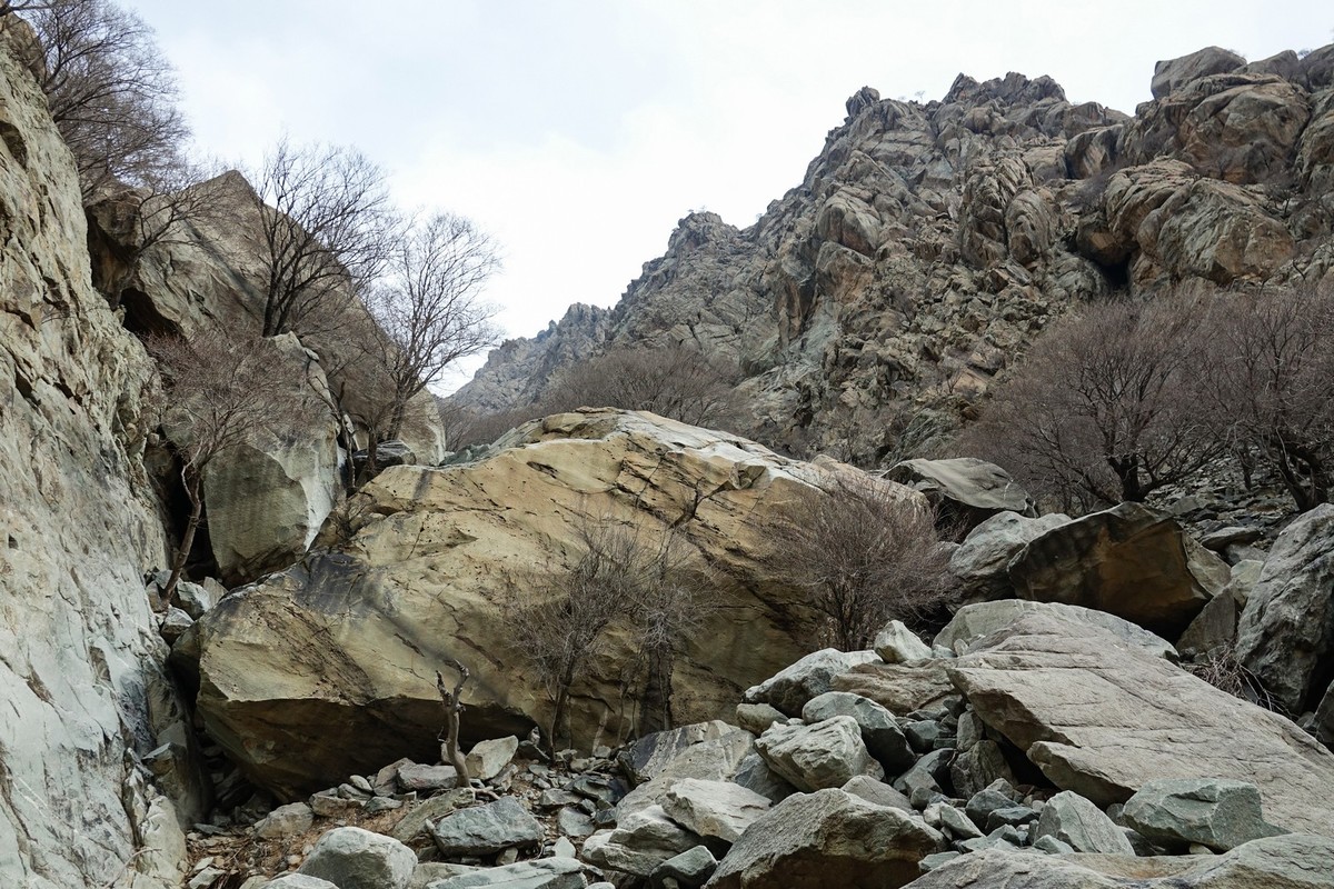 贺兰山贺兰沟的随拍