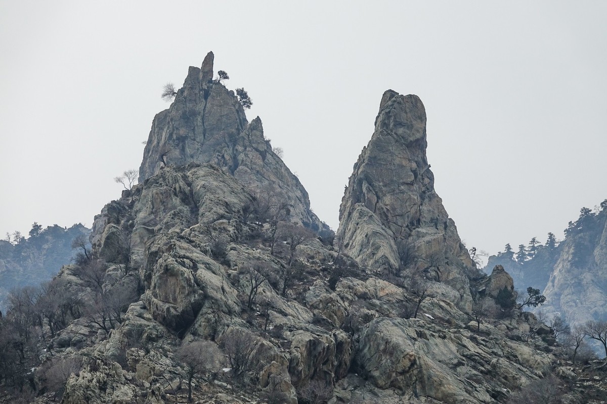 贺兰山贺兰沟的随拍