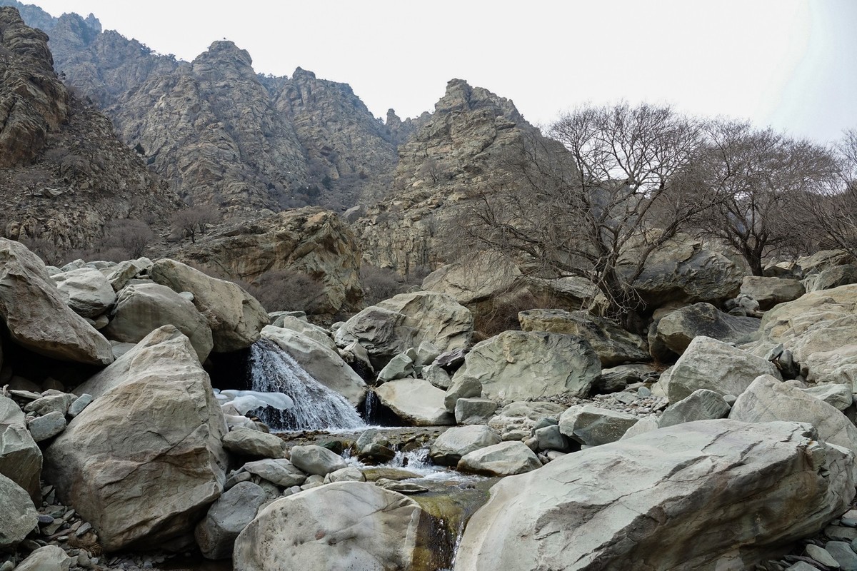 贺兰山贺兰沟的随拍