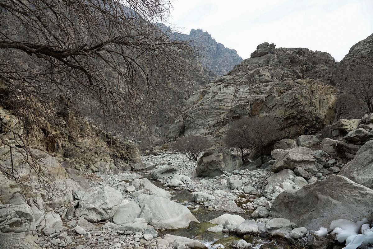 贺兰山贺兰沟的随拍