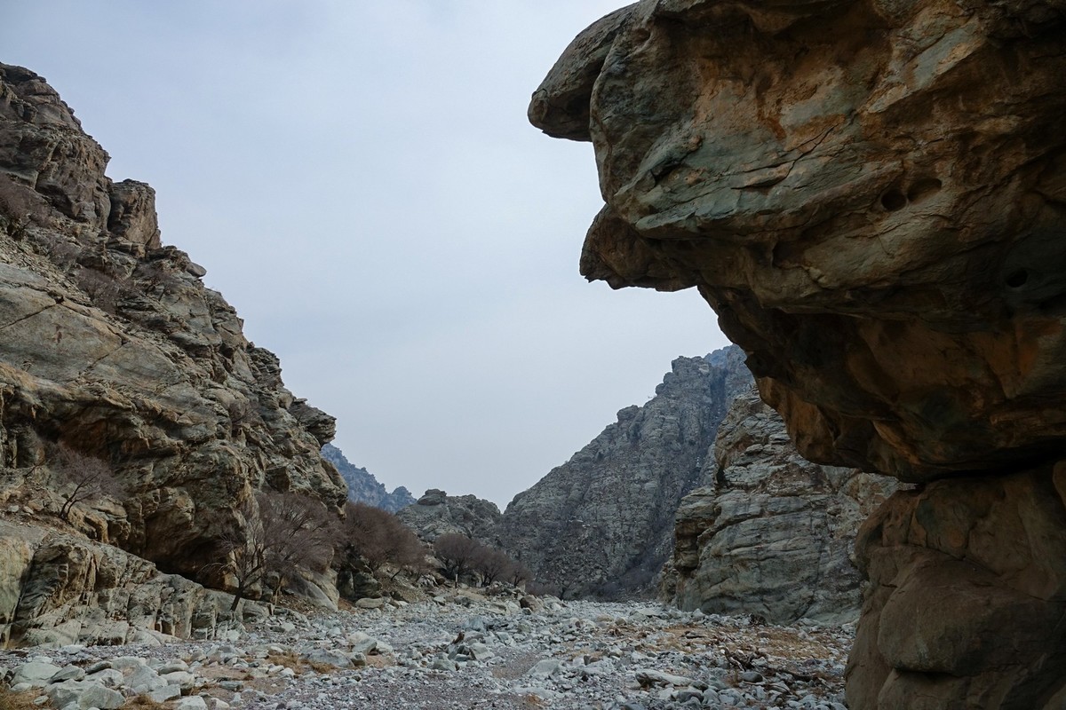 贺兰山贺兰沟的随拍