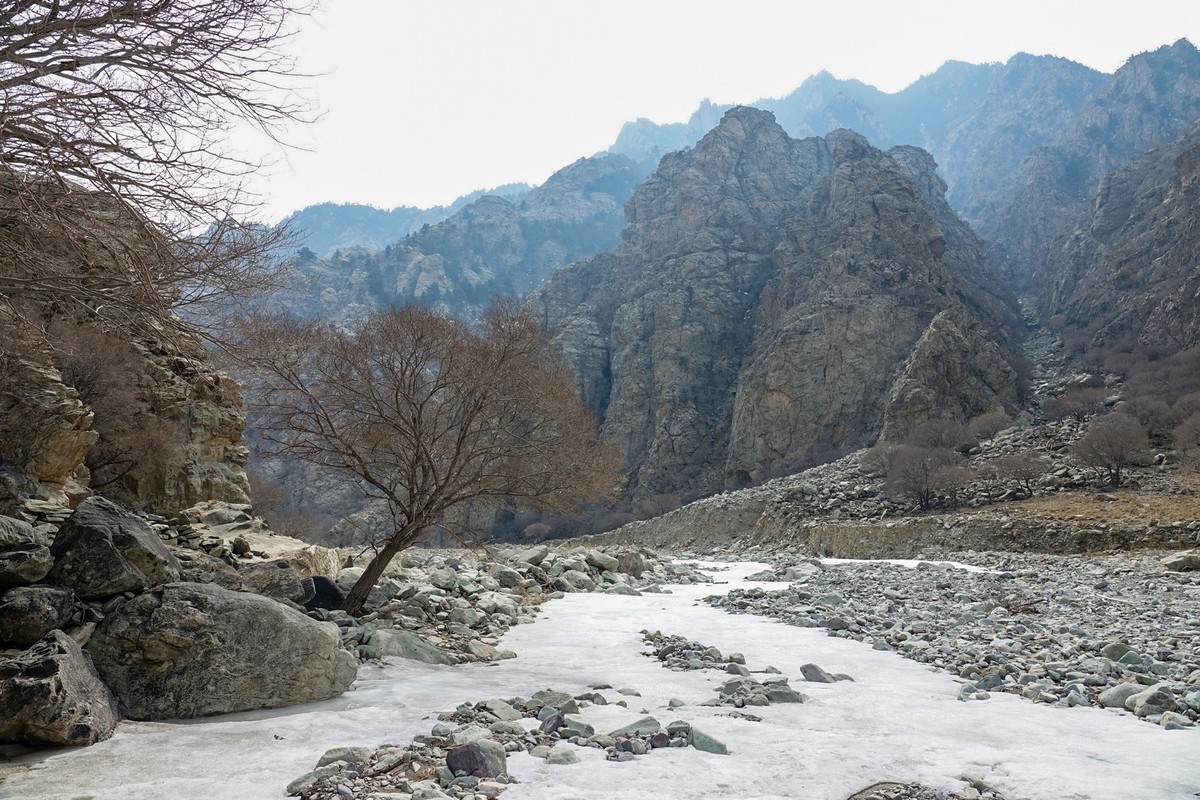 贺兰山贺兰沟的随拍