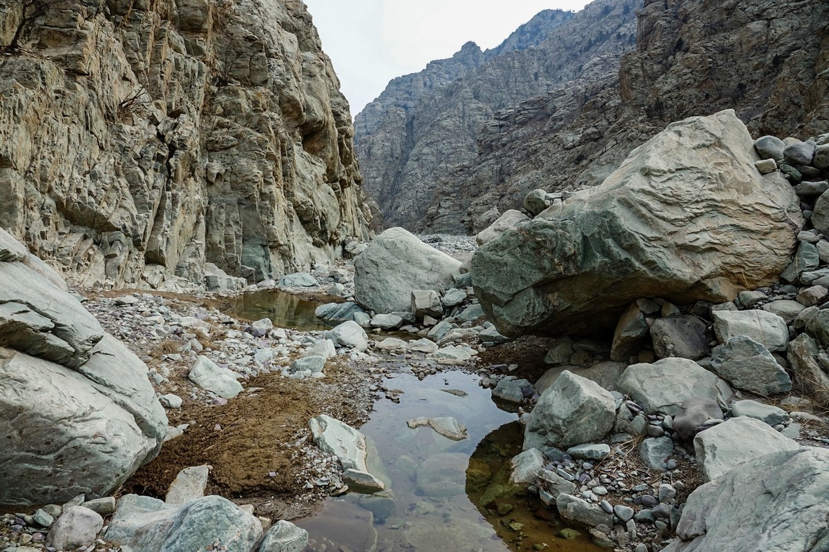 贺兰山贺兰沟的随拍