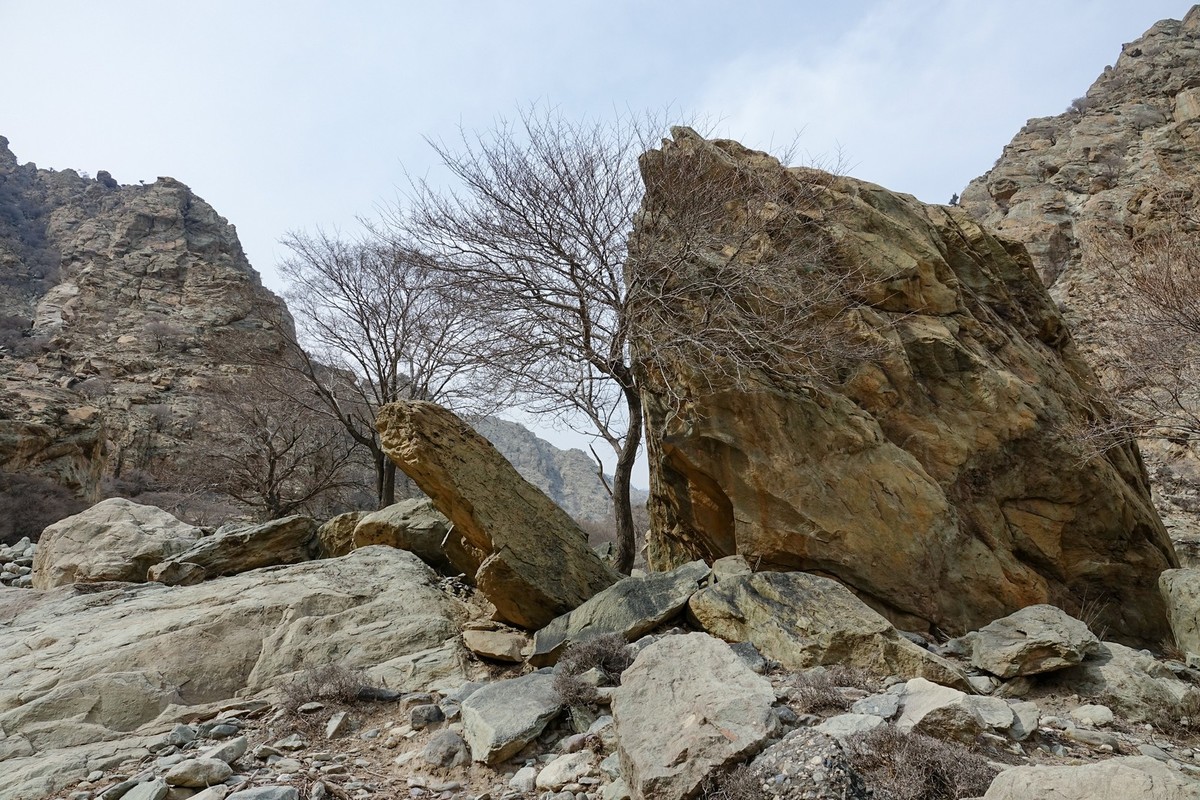 贺兰山贺兰沟的随拍
