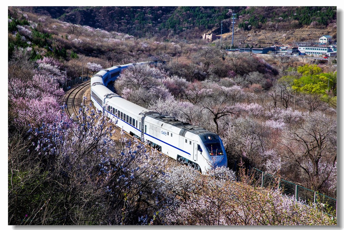 开往春天的列车--居庸关拍列车