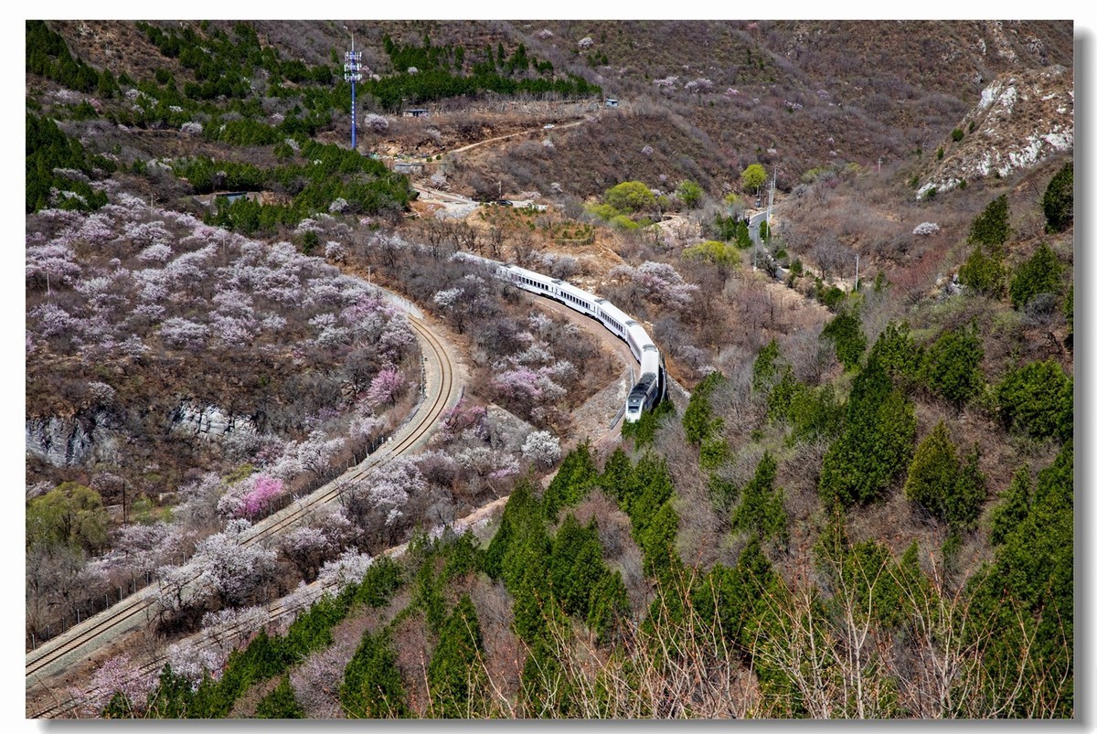 开往春天的列车--居庸关拍列车