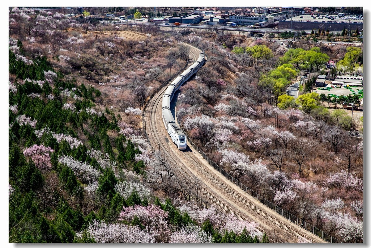 开往春天的列车--居庸关拍列车
