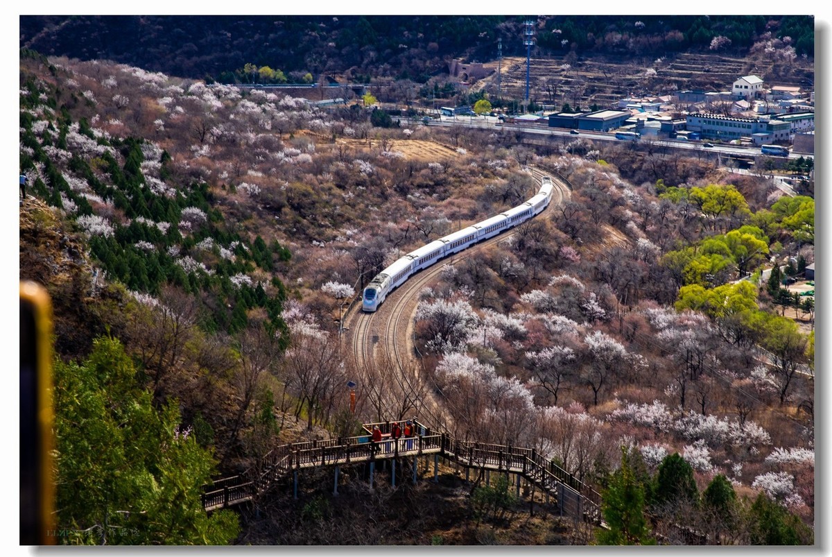 开往春天的列车--居庸关拍列车