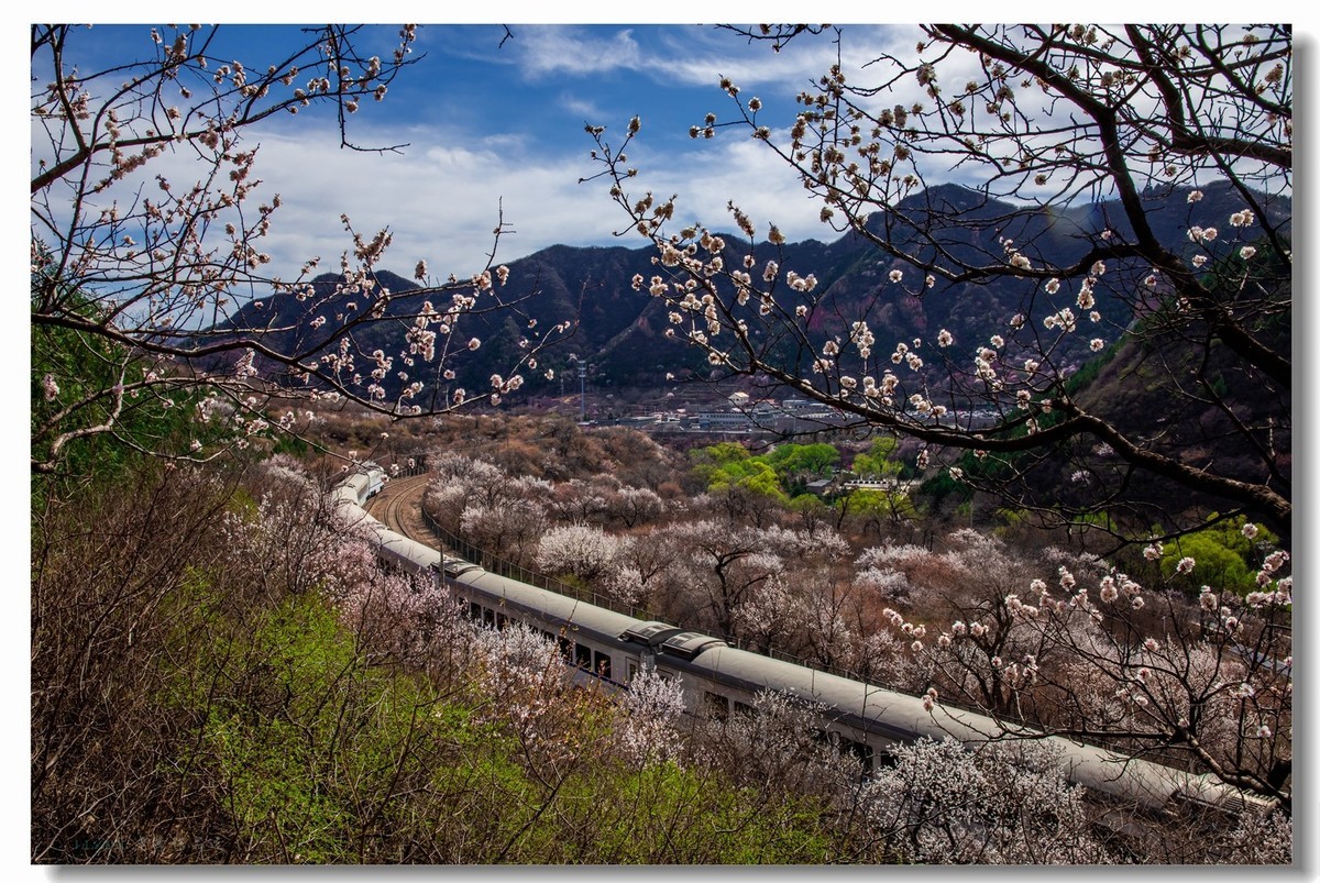 开往春天的列车--居庸关拍列车