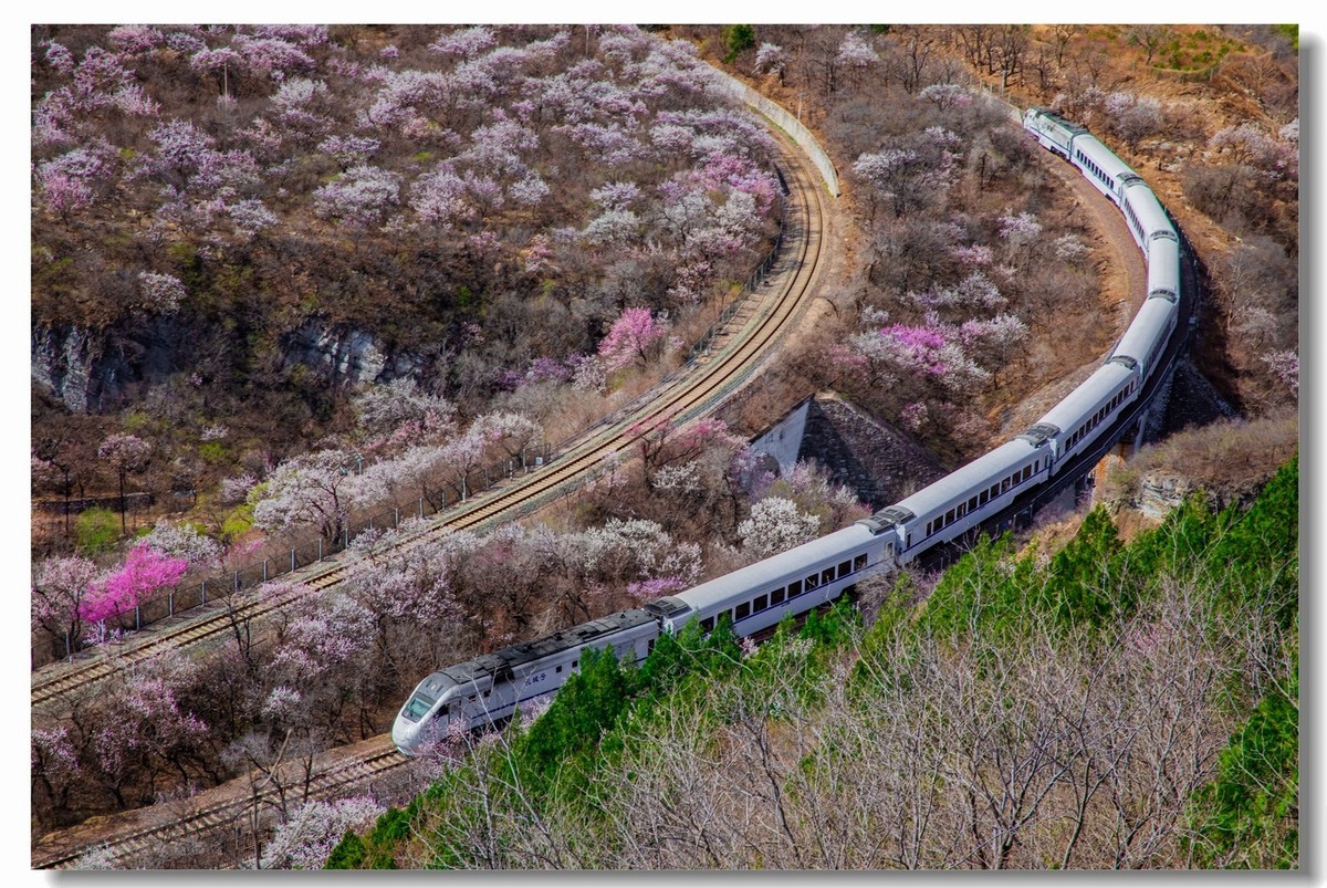 开往春天的列车--居庸关拍列车