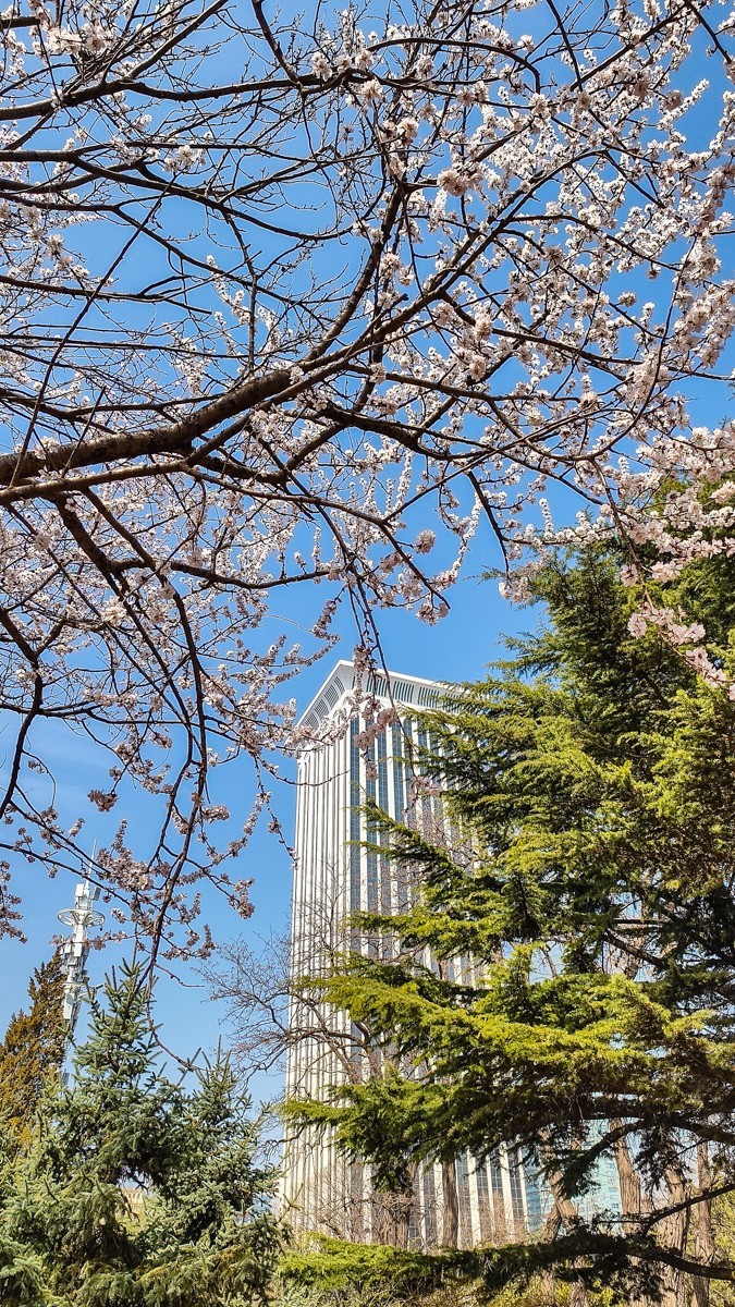 春 暖 花 开 （ 二 ）