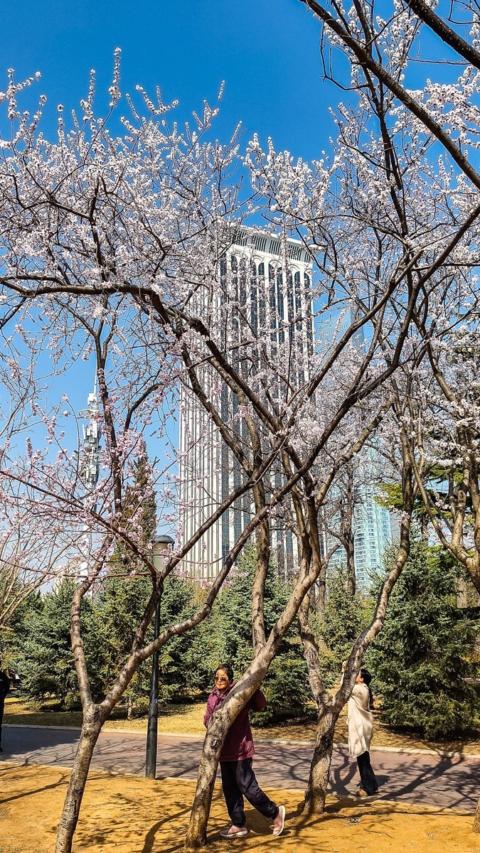 春 暖 花 开 （ 二 ）