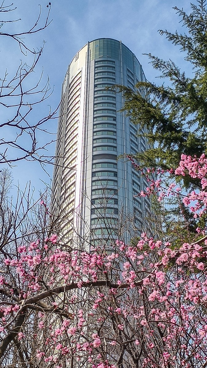 春 暖 花 开 （ 二 ）