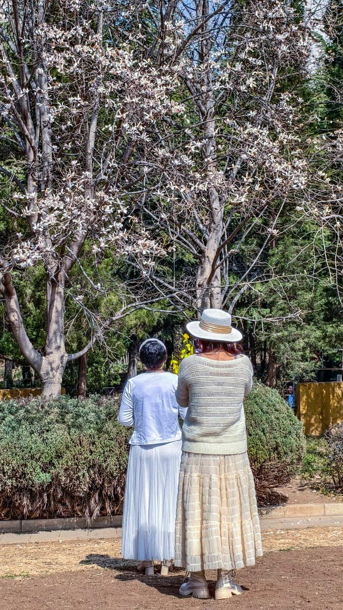 春 暖 花 开 （ 二 ）