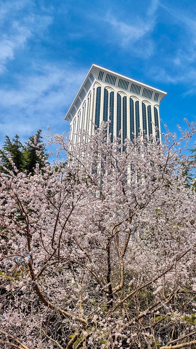 春 暖 花 开 （ 二 ）