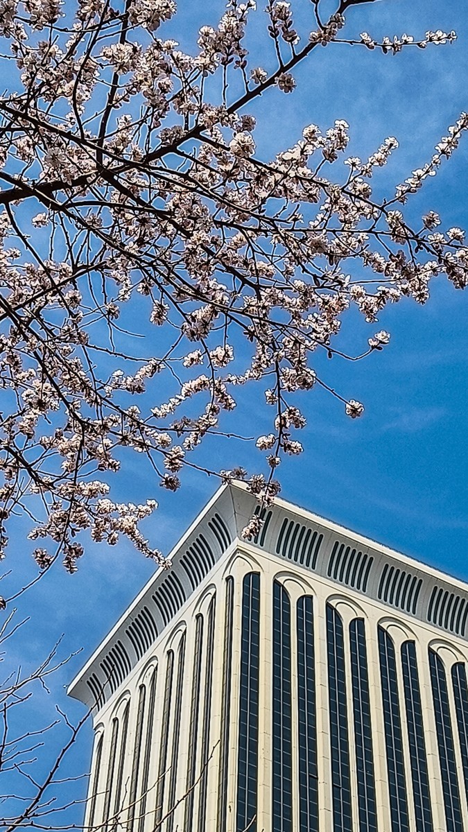 春 暖 花 开 （ 二 ）