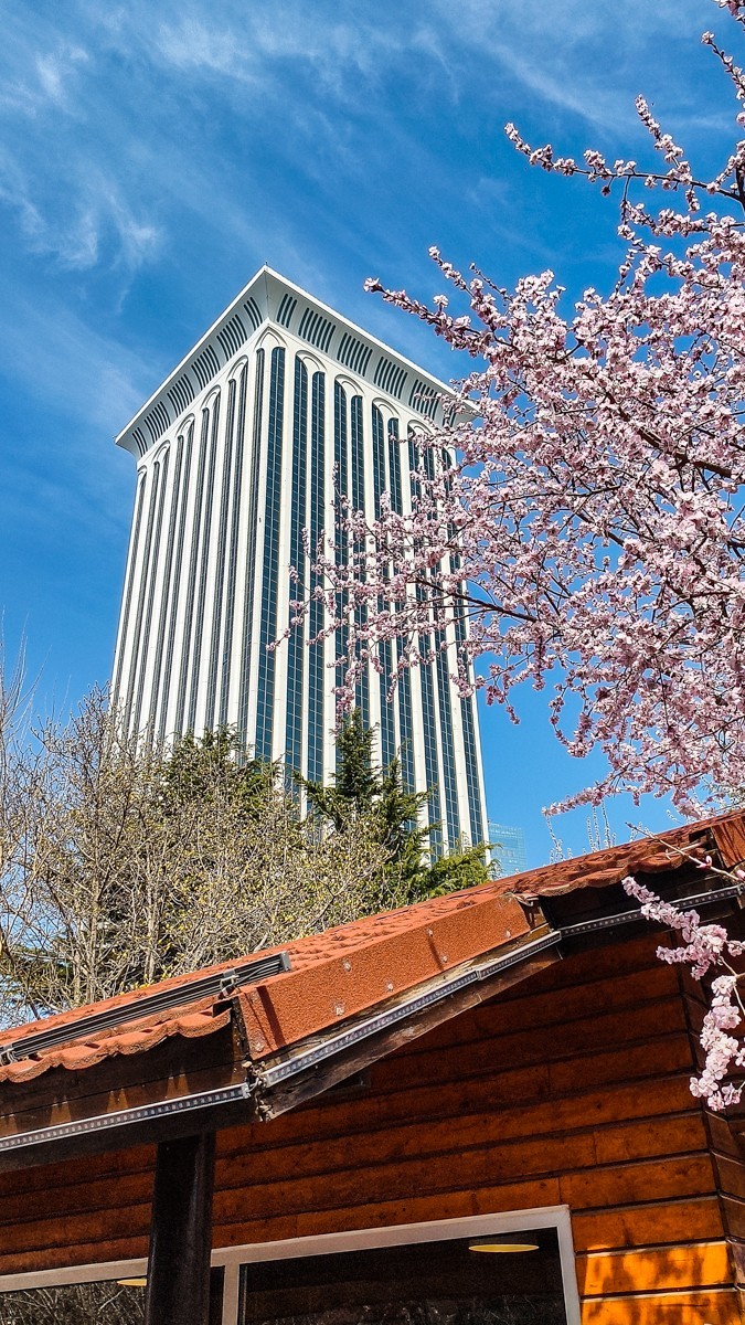 春 暖 花 开 （ 二 ）