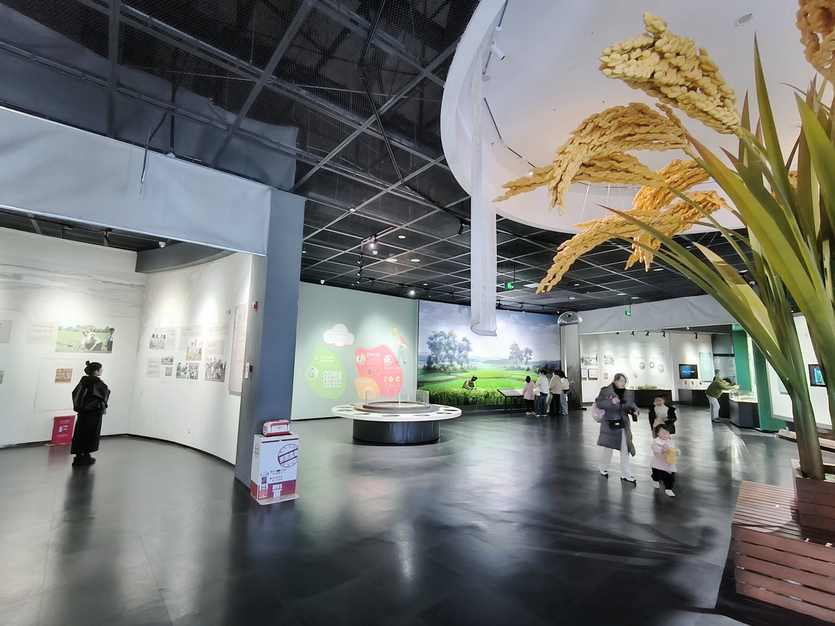 漫步星城 走街串巷（664）隆平水稻文化园