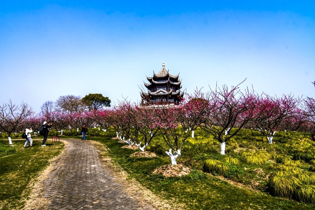 奉贤海湾森林公园