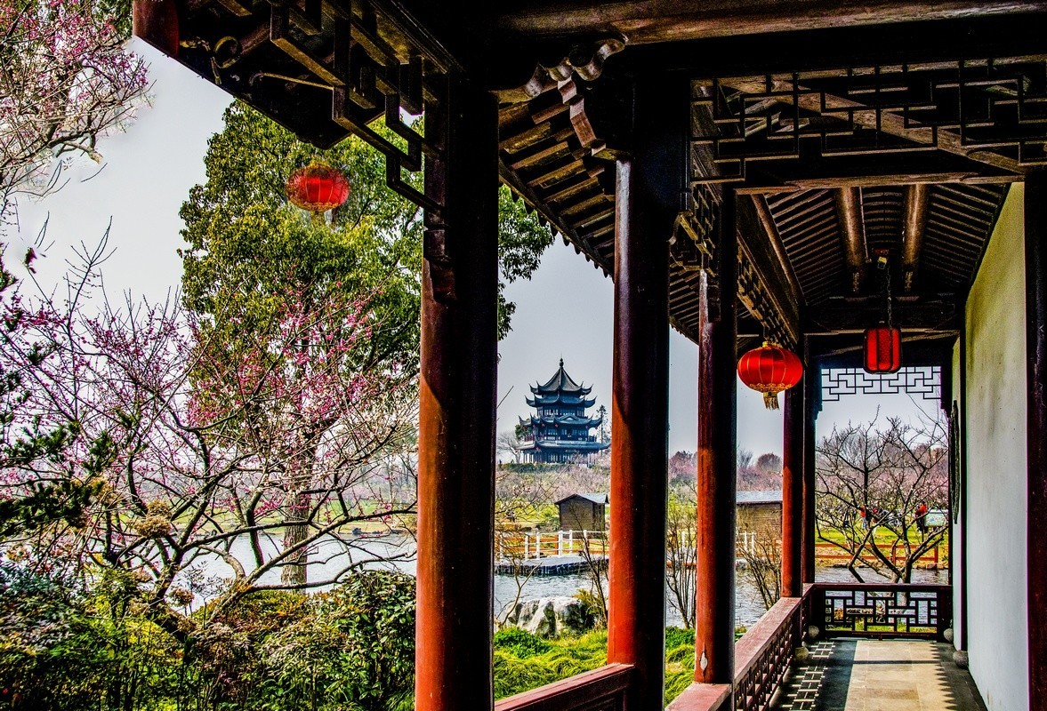 奉贤海湾森林公园