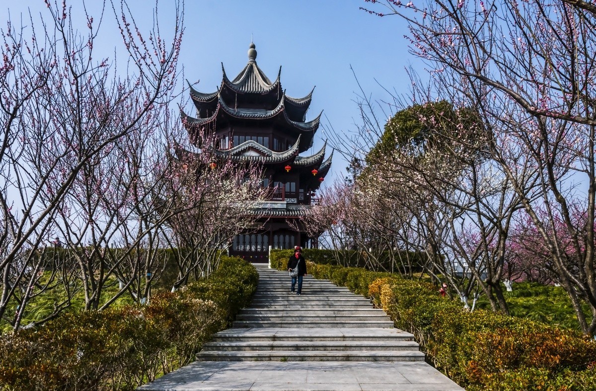奉贤海湾森林公园