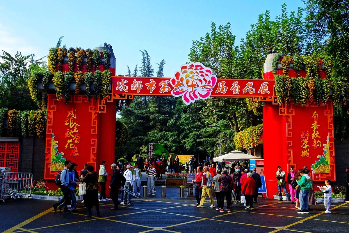 第61届成都菊花展览美极了