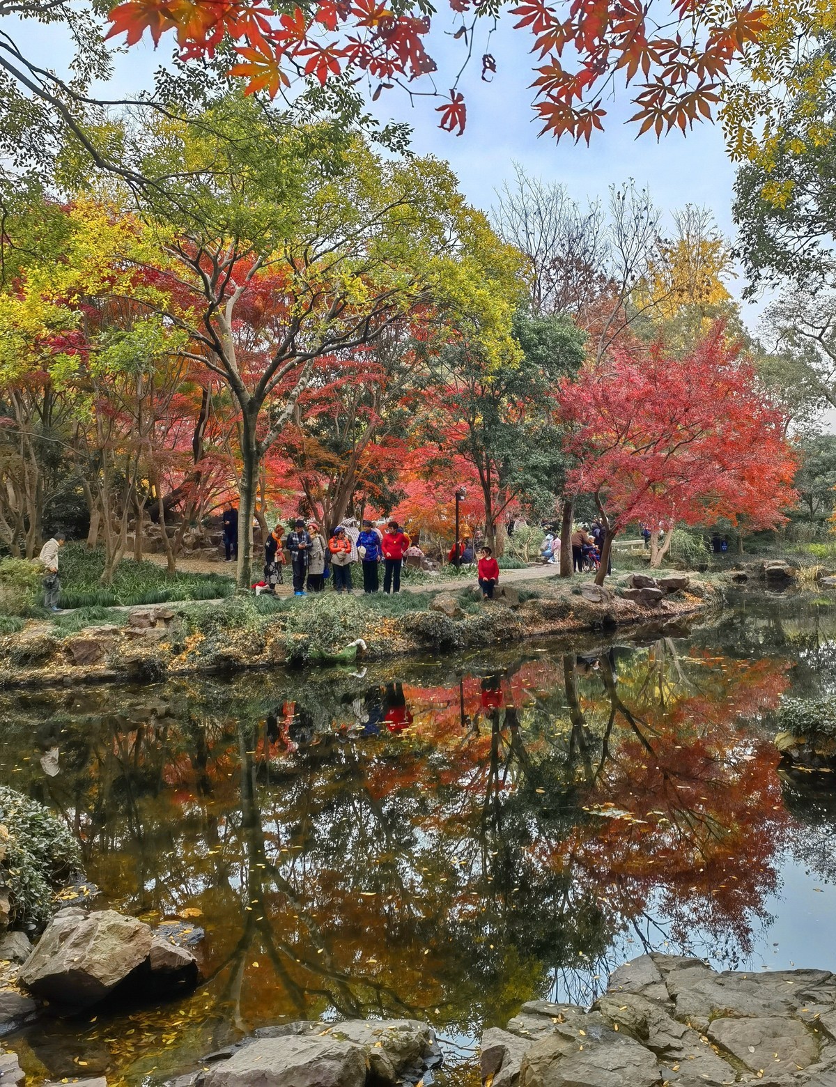 上海秋霞圃秋色