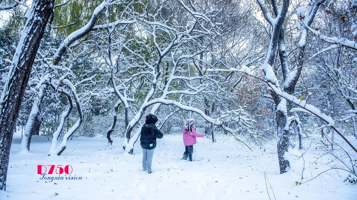 入冬塞北第一场雪（6）