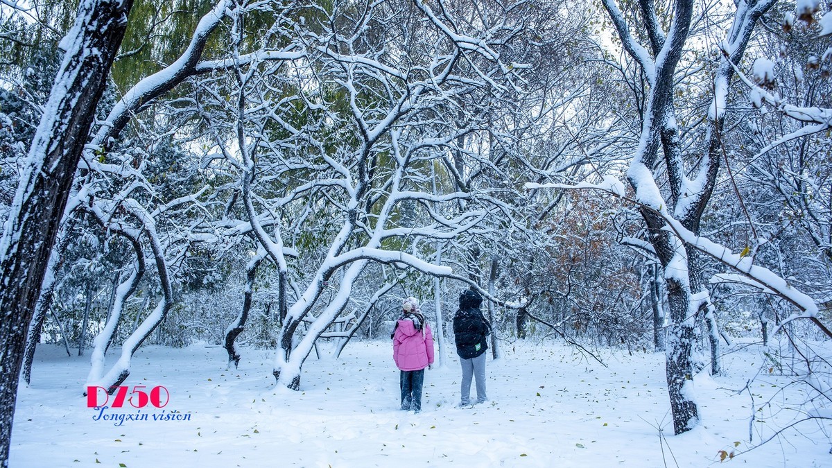 入冬塞北第一场雪（6）