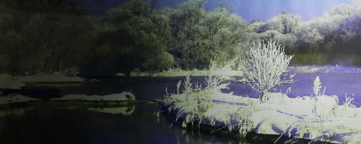 雾凇摄影作品展【大美伊春  魅力丰林】    4/5